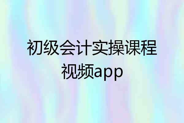 初级会计实操课程视频app