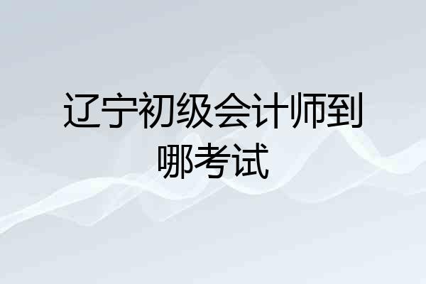 辽宁初级会计师到哪考试