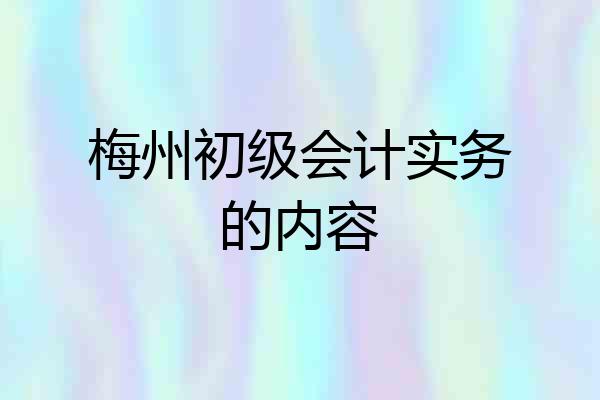 梅州初级会计实务的内容