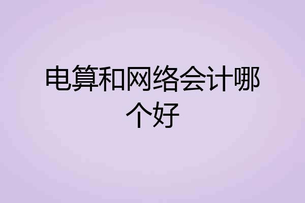 电算和网络会计哪个好