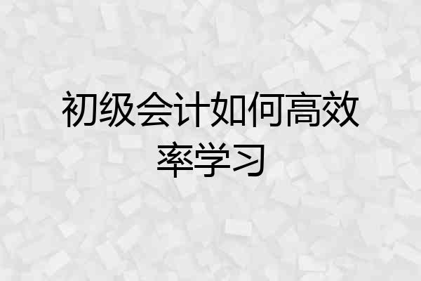 初级会计如何高效率学习
