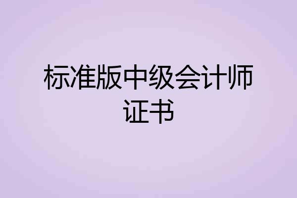 标准版中级会计师证书