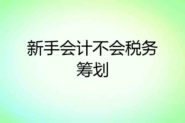 新手会计不会税务筹划