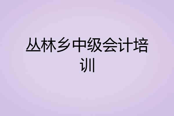 丛林乡中级会计培训