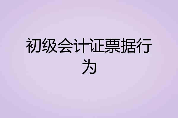 初级会计证票据行为