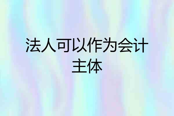 法人可以作为会计主体