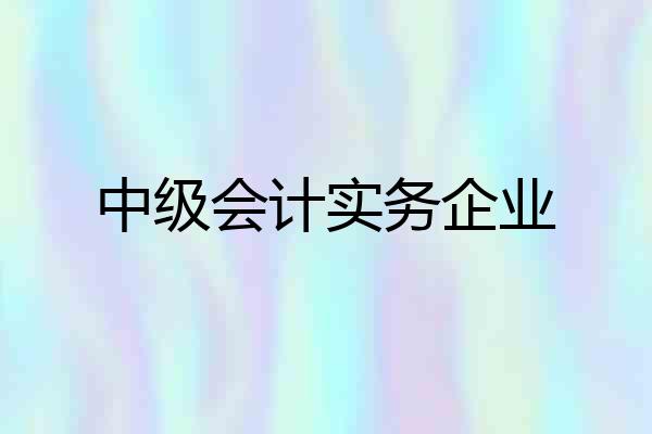 中级会计实务企业