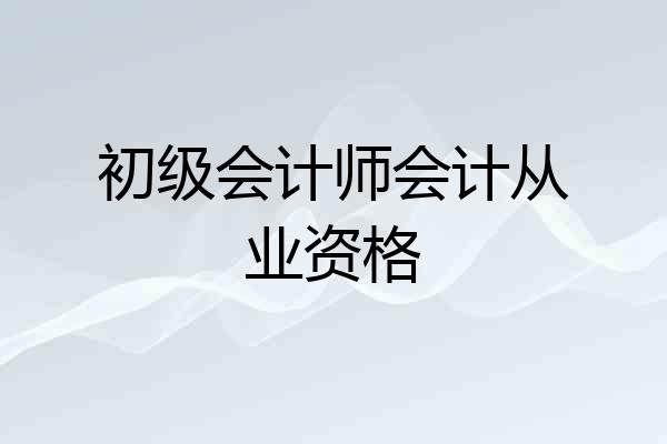 初级会计师会计从业资格