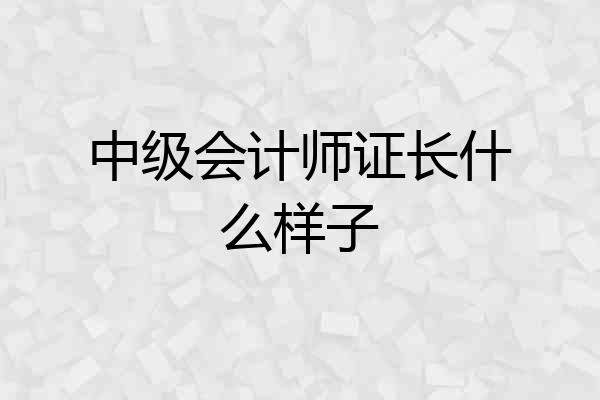 中级会计师证长什么样子