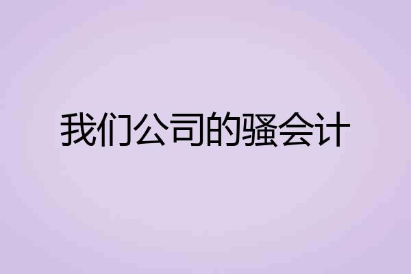我们公司的骚会计