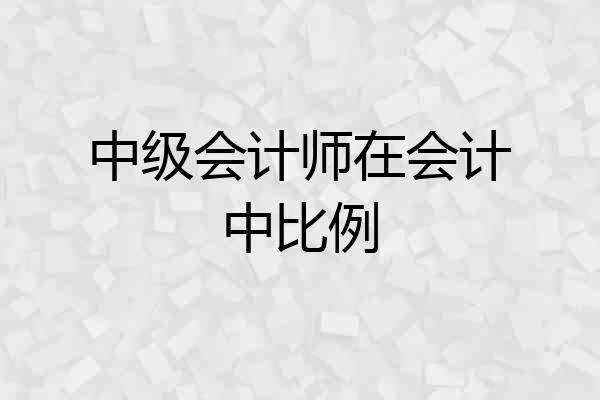 中级会计师在会计中比例
