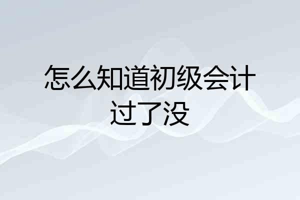 怎么知道初级会计过了没