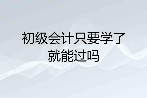 初级会计只要学了就能过吗