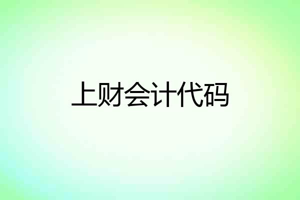 上财会计代码