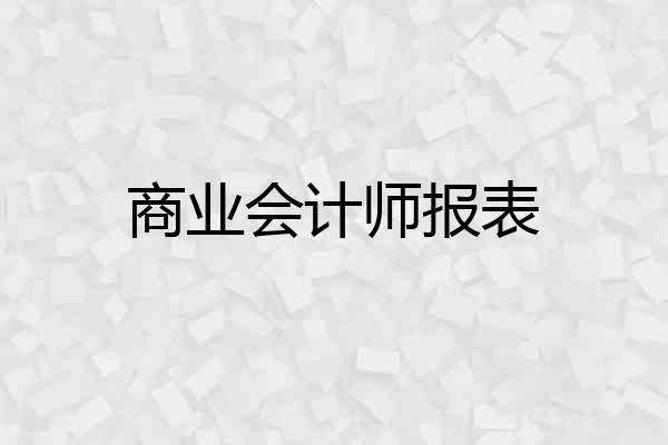 商业会计师报表