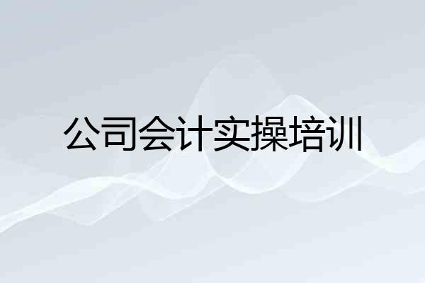 公司会计实操培训