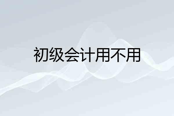 初级会计用不用