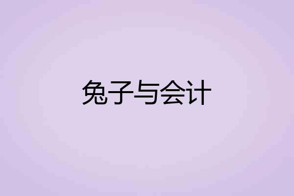 兔子与会计