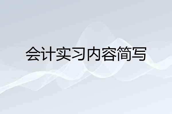 会计实习内容简写