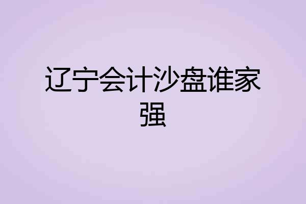辽宁会计沙盘谁家强