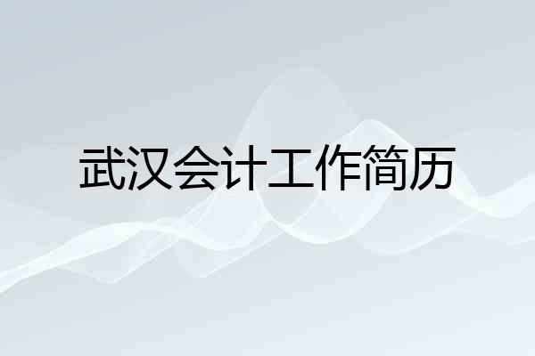 武汉会计工作简历