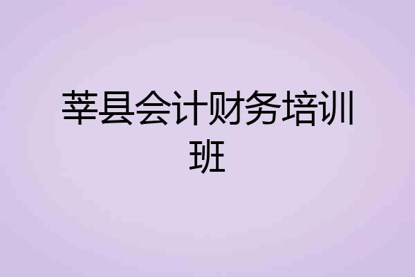 莘县会计财务培训班