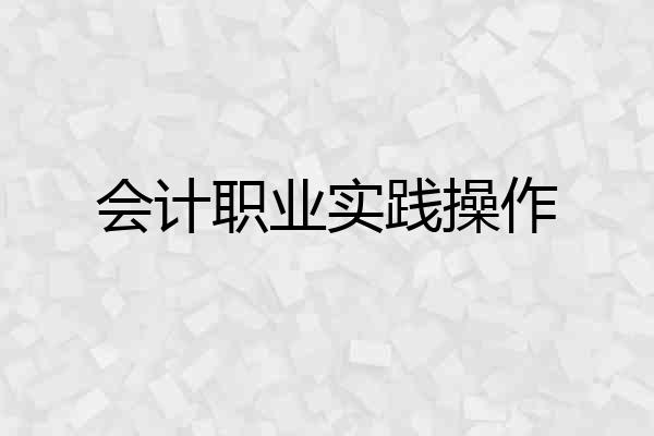 会计职业实践操作