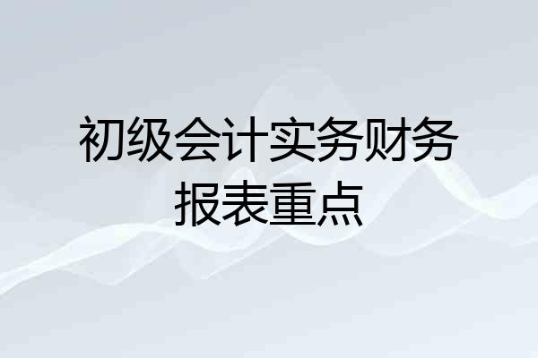 初级会计实务财务报表重点