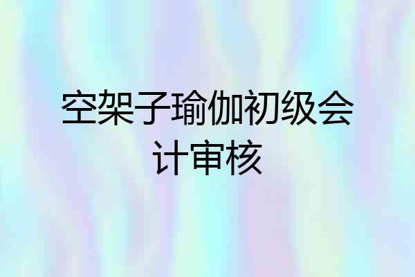 空架子瑜伽初级会计审核