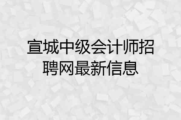 宣城中级会计师招聘网最新信息