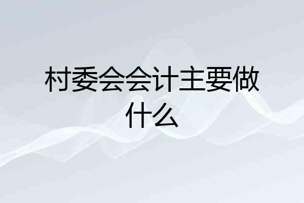 村委会会计主要做什么