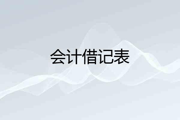 会计借记表