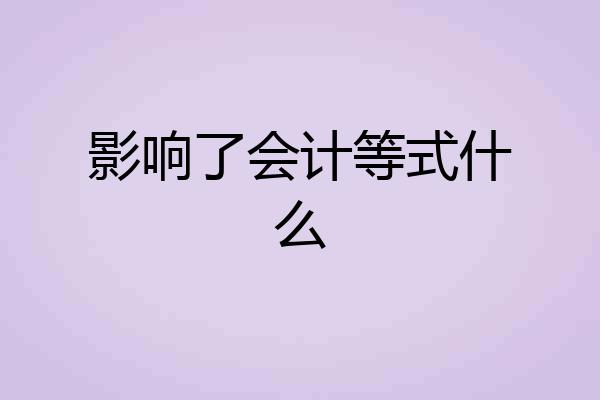 影响了会计等式什么