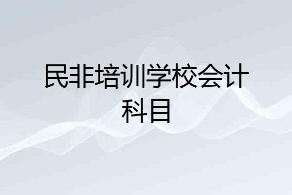 民非培训学校会计科目