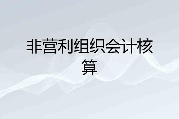 非营利组织会计核算