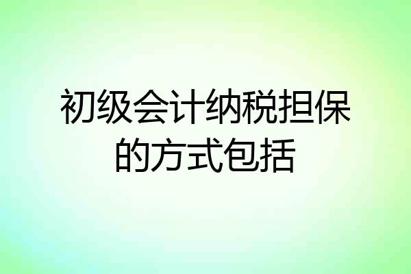 初级会计纳税担保的方式包括