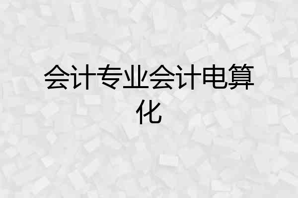 会计专业会计电算化