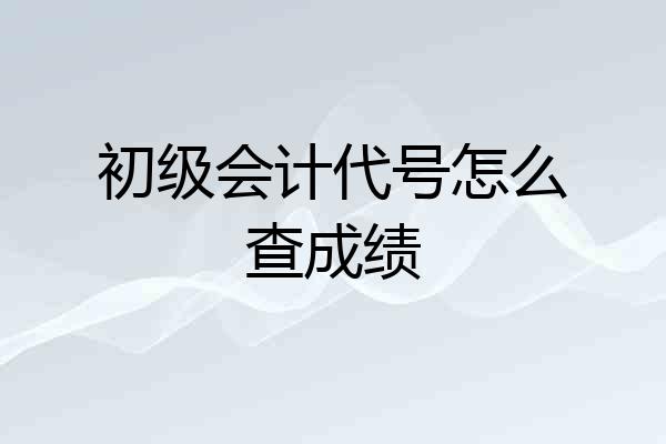 初级会计代号怎么查成绩