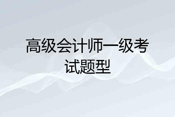 高级会计师一级考试题型