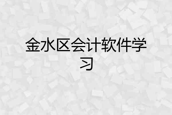 金水区会计软件学习