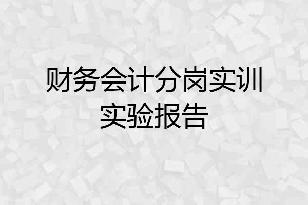 财务会计分岗实训实验报告
