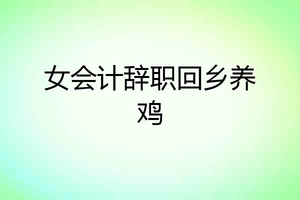 女会计辞职回乡养鸡