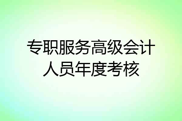 专职服务高级会计人员年度考核