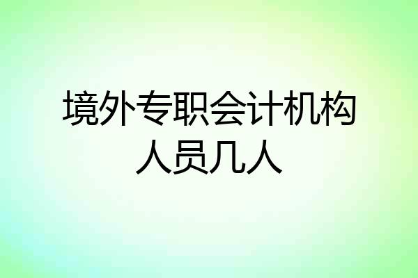 境外专职会计机构人员几人