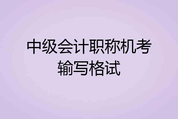 中级会计职称机考输写格试