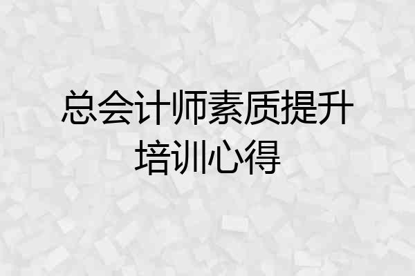 总会计师素质提升培训心得