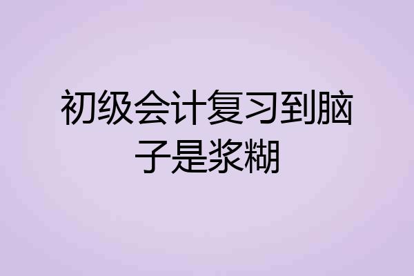 初级会计复习到脑子是浆糊