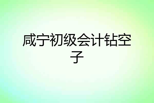咸宁初级会计钻空子