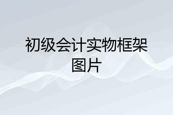 初级会计实物框架图片