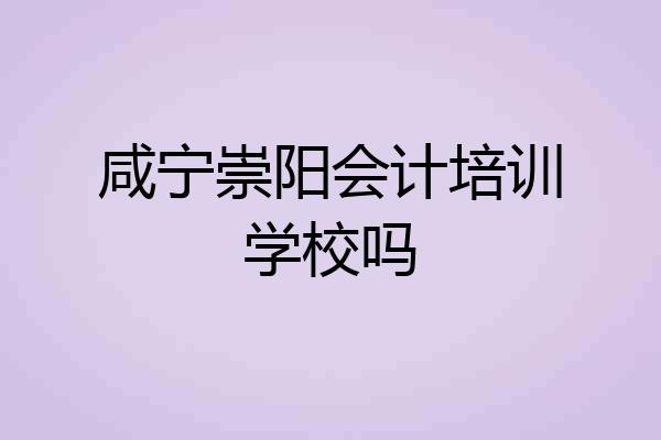 咸宁崇阳会计培训学校吗